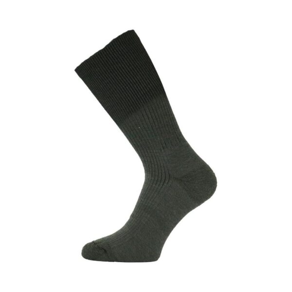 Talvesokid Lasting Merino WRM 609