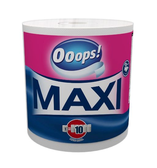 Majapidamispaber Maxi 1rull/2 kihti 500lehte