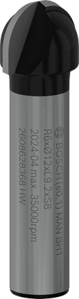 Bosch Professional profileerimise freesitera süvistuspuur, R 6, varre läbimõõt 8 mm – Bosch Professional