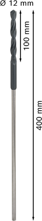 Läbiviigupuur puidule HSS, 12 × 100 × 400 mm Bosch Professional – Bosch Professional