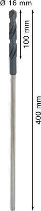 Läbiviigupuur puidule HSS, 16 × 100 × 400 mm Bosch Professional – Bosch Professional