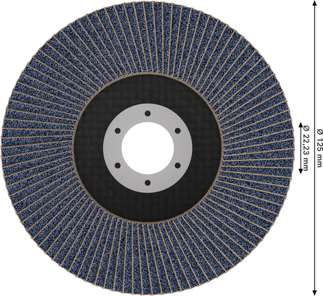 Bosch Professional X571 lamell-lihvketas, sirge, 125 mm, G80 – Bosch Professional