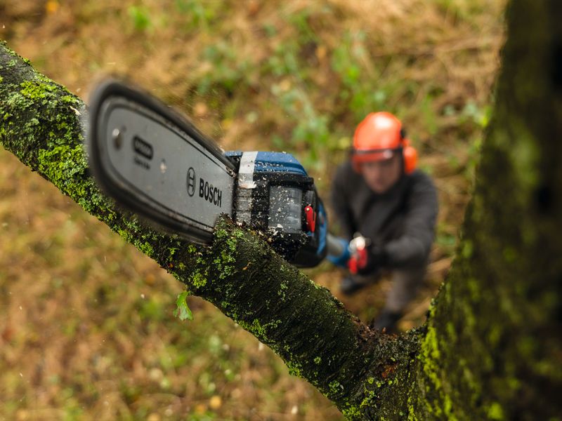 Bosch Professional sae asenduskett 25 cm (1,1mm, 0,325") – Bosch Professional