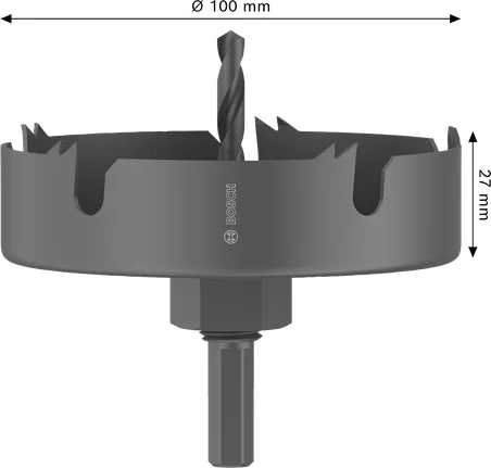 Augusaag puidule ja kipsplaadile, spindliga, 100 x 25 mm Bosch Professional – Bosch Professional