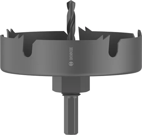Augusaag puidule ja kipsplaadile, spindliga, 100 x 25 mm Bosch Professional – Bosch Professional