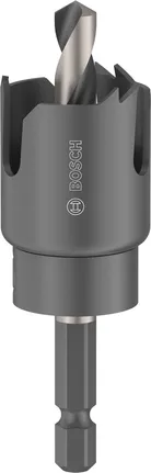 Augusaag puidule ja kipsplaadile, spindliga, 25 x 25 mm Bosch Professional – Bosch Professional
