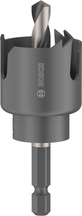 Augusaag puidule ja kipsplaadile, spindliga, 30 x 25 mm Bosch Professional – Bosch Professional