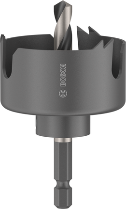 Augusaag puidule ja kipsplaadile, spindliga, 48 x 25 mm Bosch Professional – Bosch Professional