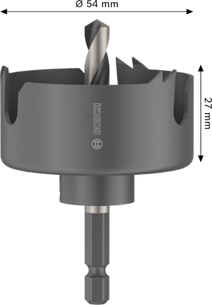 Augusaag puidule ja kipsplaadile, spindliga, 54 x 25 mm Bosch Professional – Bosch Professional