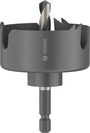 Augusaag puidule ja kipsplaadile, spindliga, 54 x 25 mm Bosch Professional – Bosch Professional