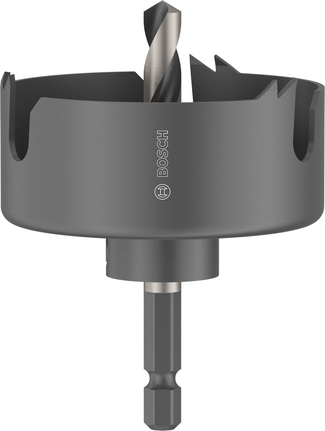 Augusaag puidule ja kipsplaadile, spindliga, 60 x 25 mm Bosch Professional – Bosch Professional