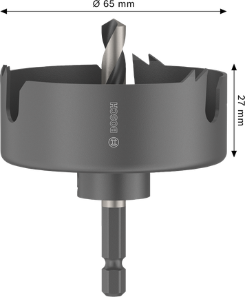 Augusaag puidule ja kipsplaadile, spindliga, 65 x 25 mm Bosch Professional – Bosch Professional
