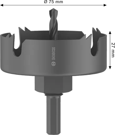 Augusaag puidule ja kipsplaadile, spindliga, 75 x 25 mm Bosch Professional – Bosch Professional