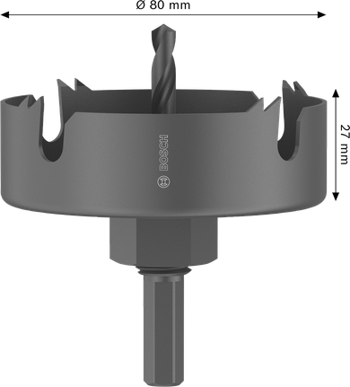 Augusaag puidule ja kipsplaadile, spindliga, 80 x 25 mm Bosch Professional – Bosch Professional