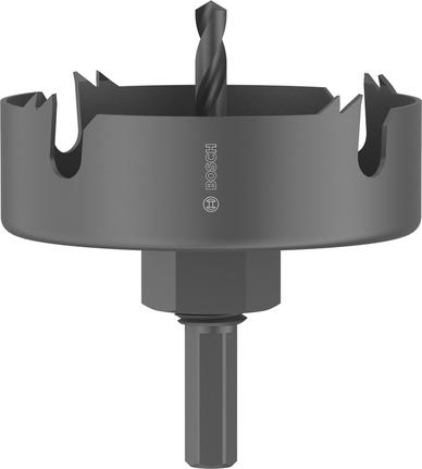 Augusaag puidule ja kipsplaadile, spindliga, 80 x 25 mm Bosch Professional – Bosch Professional