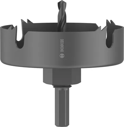 Augusaag puidule ja kipsplaadile, spindliga, 86 x 25 mm Bosch Professional – Bosch Professional